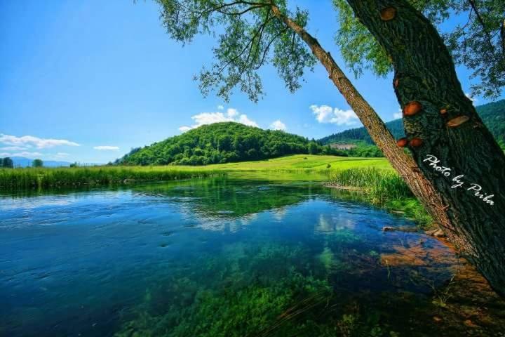 Holiday House Leona Otocac Ngoại thất bức ảnh
